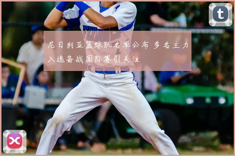 尼日利亚篮球队名单公布 多名主力入选备战国际赛引关注