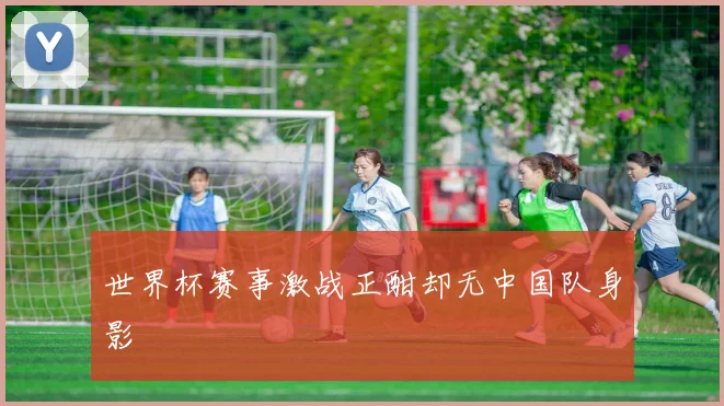 世界杯赛事激战正酣却无中国队身影